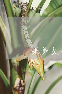 老弟欠信用卡錢（老弟欠信用卡錢）