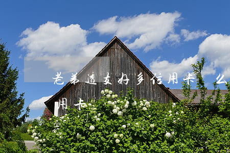老弟透支好多信用卡這么辦(怎樣辦理透支信用卡)