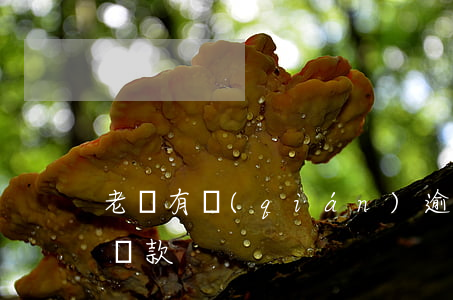 老張有錢(qián)逾期協(xié)商還款