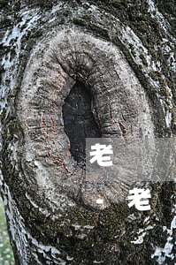 老撾簽證逾期六個(gè)月回國罰款多少-老撾簽證逾期六個(gè)月回國罰款多少錢