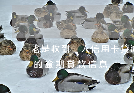 老是收到別人信用卡貸逾期短信(總收到別人的逾期貸款信息)