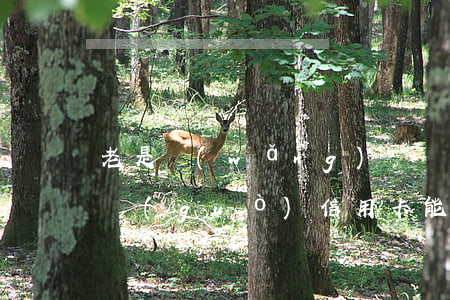 老是網(wǎng)貸沒(méi)有逾期過(guò)信用卡能辦嗎-老是網(wǎng)貸沒(méi)有逾期過(guò)信用卡能辦嗎知乎