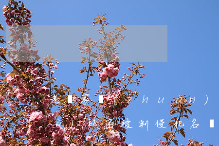 老東家轉(zhuǎn)文曝竊取商業(yè)秘密被判侵犯名譽(yù)權(quán)