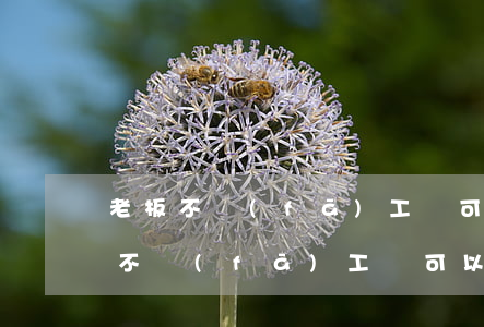老板不發(fā)工資可以上法院告嗎(老板不發(fā)工資可以去法院起訴嗎)
