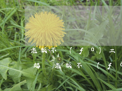 老板不發(fā)工資可以起訴法院嗎(怎么起訴老板不發(fā)工資)