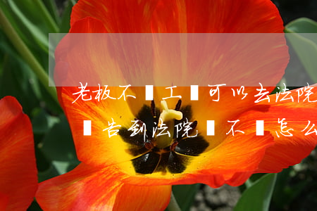 老板不給工資可以去法院告他嗎(老板不給工資告到法院還不給怎么辦)