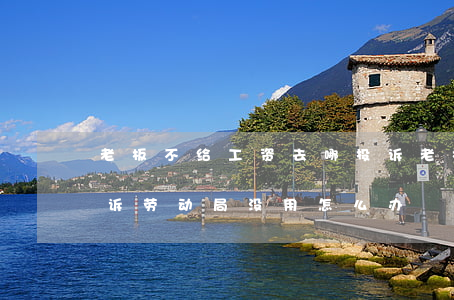 老板不给工资去哪投诉(老板不给工资去哪投诉劳动局没用怎么办)
