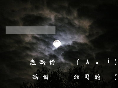 老板借錢會(huì)計(jì)被起訴 老板借錢給公司的財(cái)稅處理