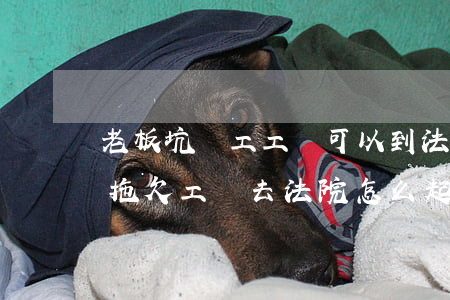 老板坑員工工資可以到法院起訴嗎(私人老板拖欠工資去法院怎么起訴)