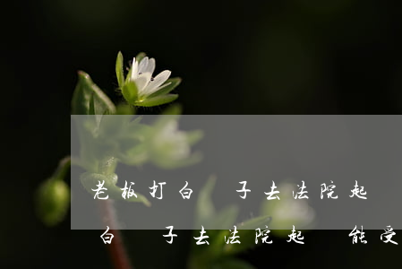 老板打白條子去法院起訴能受理嗎-老板打白條子去法院起訴能受理嗎怎么辦
