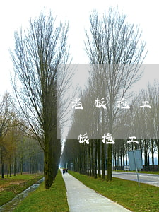 老板拖工資可以去法院告他嗎(到法院起訴老板拖工資要多久)
