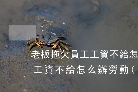 老板拖欠員工工資不給怎么辦(老板拖欠員工工資不給怎么辦勞動(dòng)局也管不了)