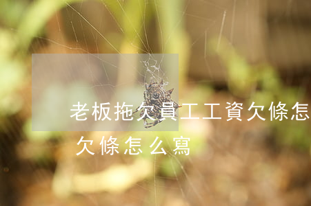 老板拖欠員工工資欠條怎么寫(老板欠工資的欠條怎么寫)