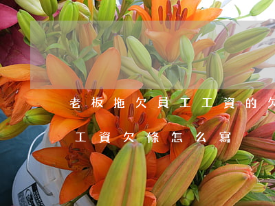 老板拖欠員工工資的欠條怎么寫(老板欠工人工資欠條怎么寫)