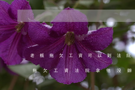 老板拖欠工資可以到法院投訴嗎(為什么老板拖欠工資法院拿他沒辦法)