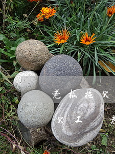老板拖欠工資可以去法院嗎(法院起訴老板拖欠工資 老板沒錢怎么辦)