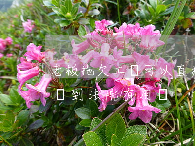 老板拖欠工資可以直接去法院告嗎(老板欠工資到法院有用嗎?)
