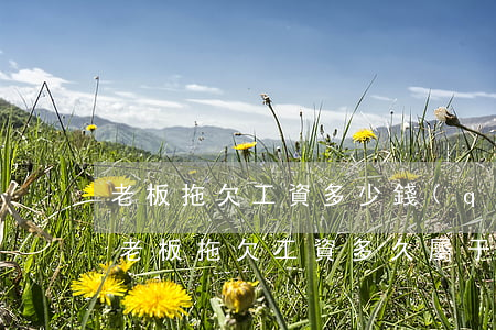 老板拖欠工資多少錢(qián)可以起訴(老板拖欠工資多久屬于違法?多久可以起訴)