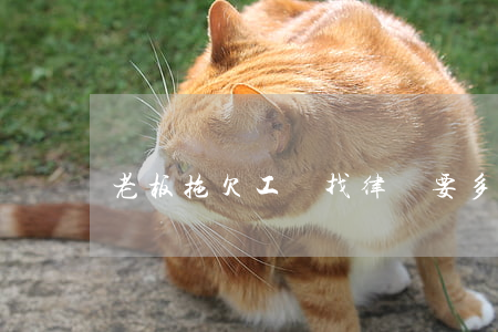 老板拖欠工資找律師要多少錢