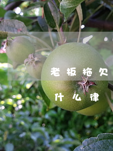 老板拖欠工資找律師要多少錢(拖欠工資咨詢什么律師)