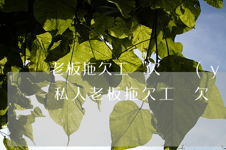 老板拖欠工資欠條應(yīng)該怎么寫(私人老板拖欠工資欠條應(yīng)該怎么寫)