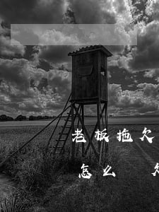老板拖欠工資的工資單怎么寫(公司拖欠工資怎么寫欠條)