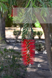 老板拖欠工資的工資單怎么寫(老板欠工資條怎么寫)