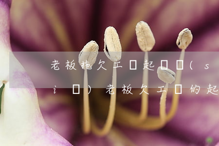 老板拖欠工資起訴書(shū)怎么寫(xiě)(老板欠工資的起訴書(shū)怎么寫(xiě))