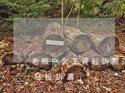 老板拖欠工資起訴書范文(老板拖欠工資怎么寫投訴書)
