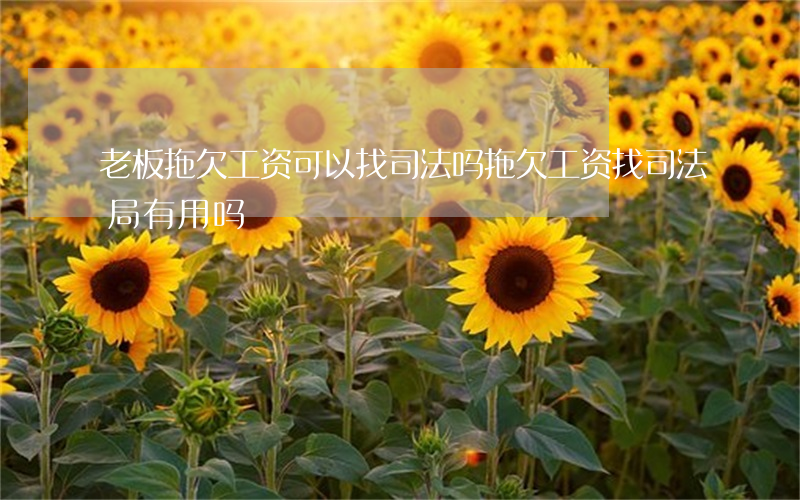 老板拖欠工资可以找司法吗(拖欠工资找司法局有用吗)