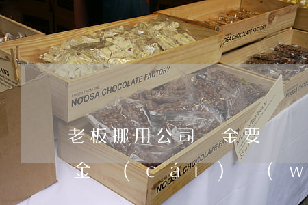 老板挪用公司資金要賠償嗎?(老板挪用公司資金,財(cái)務(wù)會有責(zé)任嗎)