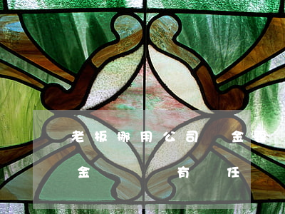老板挪用公司資金要賠償嗎?(老板挪用公司資金,財務會有責任嗎)
