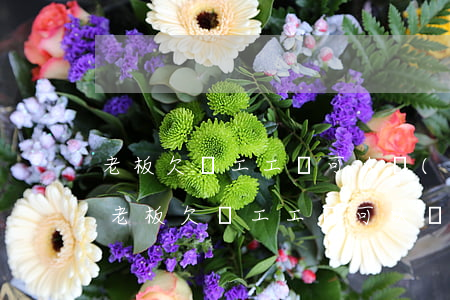 老板欠員工工資可以經(jīng)法院嗎(老板欠員工工資可以經(jīng)法院嗎)