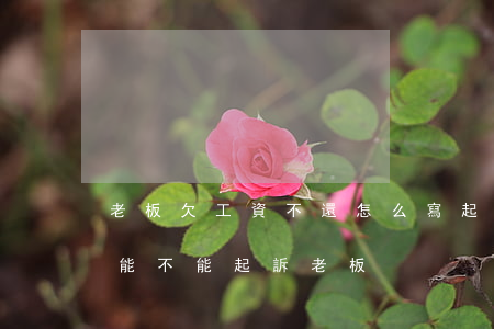 老板欠工資不還怎么寫起訴狀(拿著工資欠條能不能起訴老板)