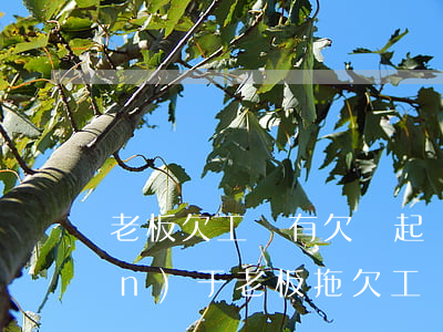 老板欠工資有欠條起訴書怎么寫(關(guān)于老板拖欠工資的起訴狀怎么寫)