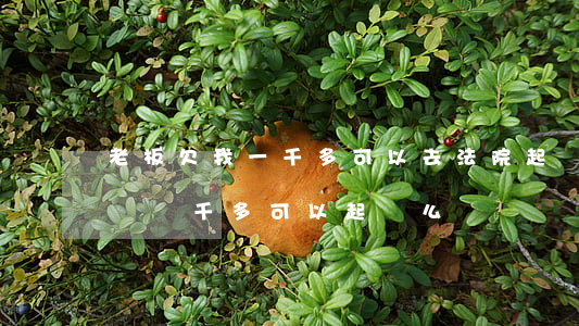 老板欠我一千多可以去法院起訴嗎(老板欠工資兩千多可以起訴么)