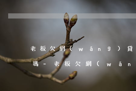 老板欠網(wǎng)貸不還會東結老婆卡嗎-老板欠網(wǎng)貸不還會東結老婆卡嗎會凍結嗎