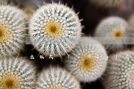 老板欠農(nóng)民工欠條怎么寫