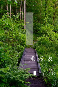 老板欠農(nóng)民工資欠條怎么寫(欠農(nóng)民工的欠條怎么寫)