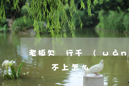 老板欠銀行千萬(wàn)(公司老板欠銀行錢還不上怎么辦)