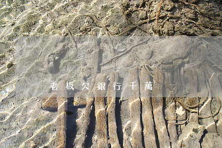 老板欠銀行千萬