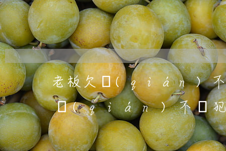 老板欠錢(qián)不還怎么起訴(老板欠錢(qián)不還犯法嗎)
