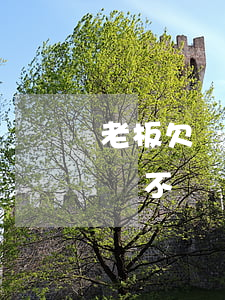 老板欠錢不還可以報(bào)警嗎(老板欠錢不給報(bào)警管用嗎)