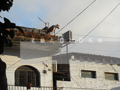 老板欠錢起訴流程