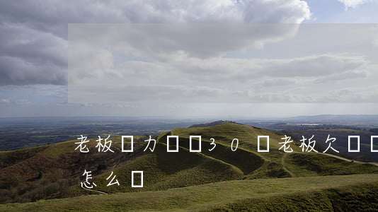 老板無力償還30萬(老板欠錢沒有能力償還怎么辦)