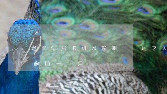 老梁信用卡可以逾期一個月之久嗎-信用卡 逾期 一個月
