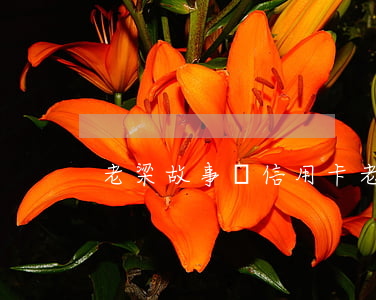 老梁故事匯信用卡（老梁講故事信用卡逾期）