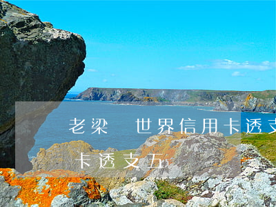 老梁觀世界信用卡透支五萬(老梁觀世界信用卡透支五萬)