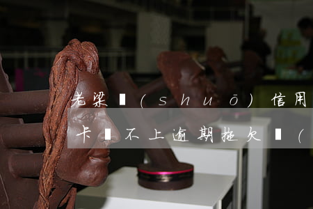 老梁說(shuō)信用卡逾期還不上(信用卡還不上逾期拖欠會(huì)怎么樣?)