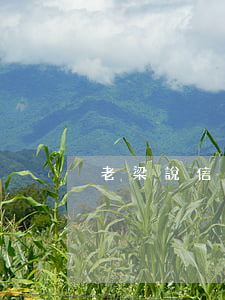 老梁說信用卡不還后果